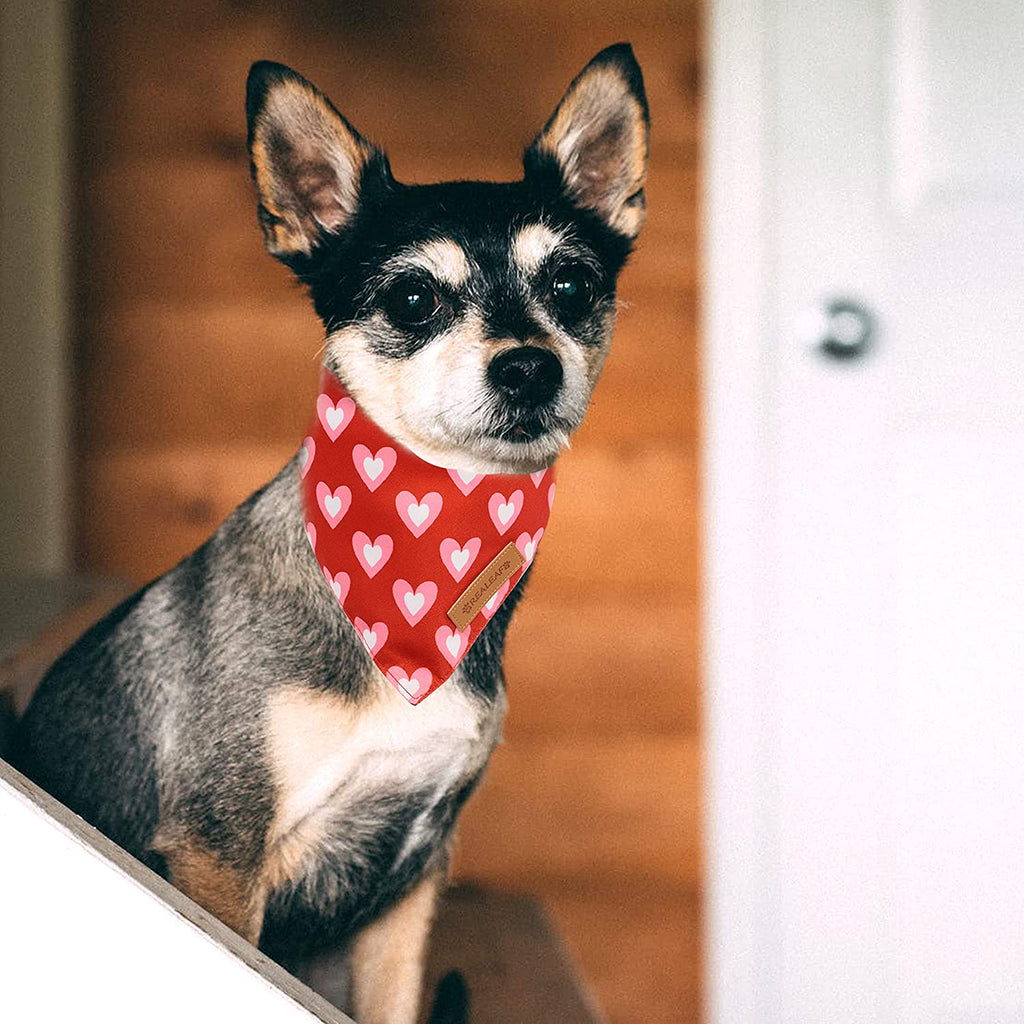 Valentine'S Day Dog Bandanas 2 Pack, Triangle Reversible Love Pet Scarf for Boy and Girl, Premium Durable Fabric, Holiday Mothers Day Bandana for Medium and Large Dogs (Large)